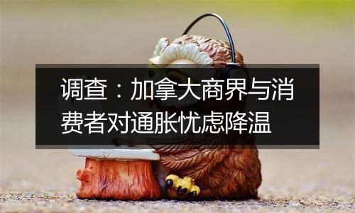 调查：加拿大商界与消费者对通胀忧虑降温
