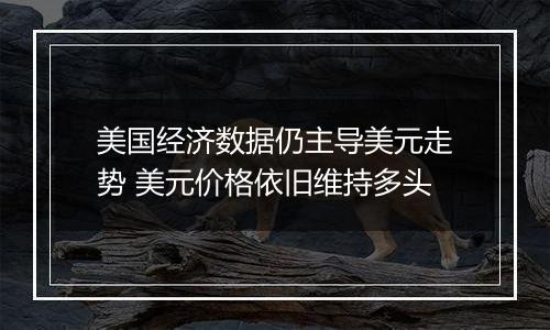 美国经济数据仍主导美元走势 美元价格依旧维持多头