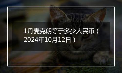 1丹麦克朗等于多少人民币(2024年10月12日)