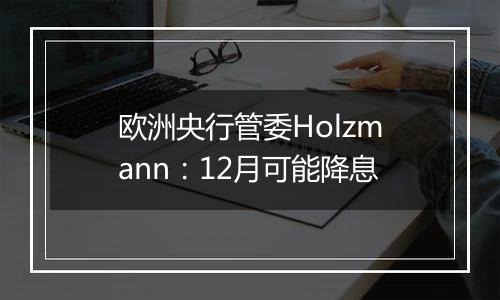 欧洲央行管委Holzmann：12月可能降息