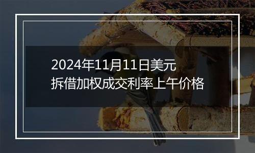 2024年11月11日美元拆借加权成交利率上午价格