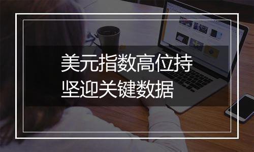 美元指数高位持坚迎关键数据