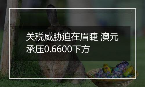 关税威胁迫在眉睫 澳元承压0.6600下方