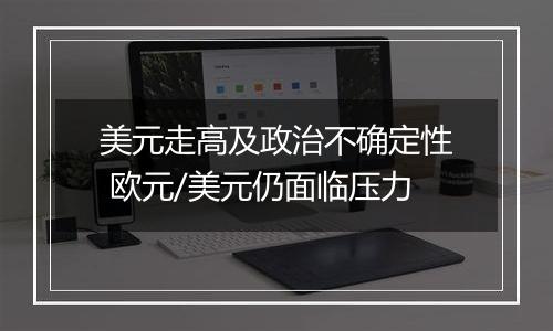 美元走高及政治不确定性 欧元/美元仍面临压力
