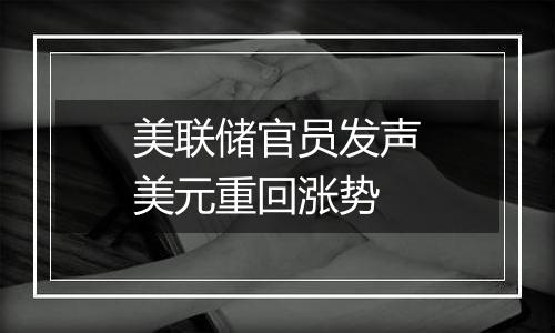 美联储官员发声美元重回涨势
