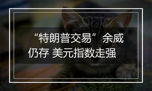 “特朗普交易”余威仍存 美元指数走强