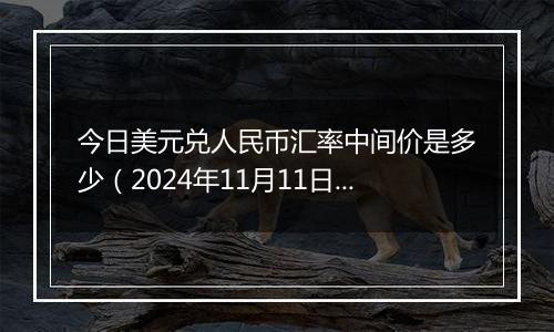 今日美元兑人民币汇率中间价是多少(2024年11月11日)
