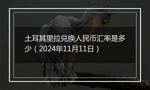 土耳其里拉兑换人民币汇率是多少(2024年11月11日)