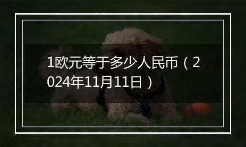 1欧元等于多少人民币（2024年11月11日）