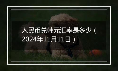 人民币兑韩元汇率是多少(2024年11月11日)