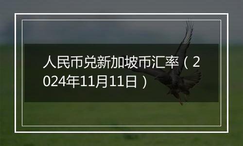 人民币兑新加坡币汇率(2024年11月11日)
