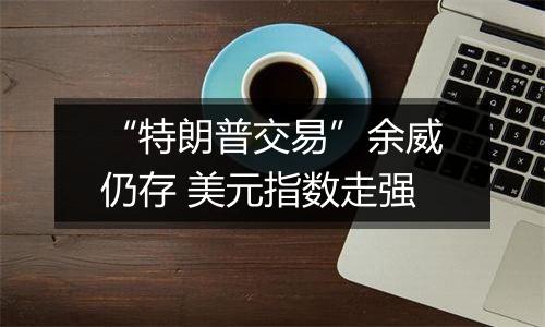 “特朗普交易”余威仍存 美元指数走强