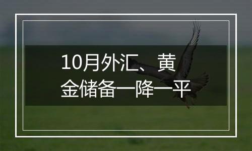 10月外汇、黄金储备一降一平