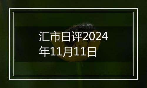 汇市日评2024年11月11日