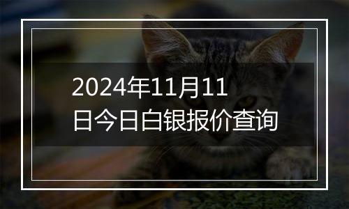 2024年11月11日今日白银报价查询