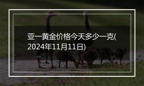 亚一黄金价格今天多少一克(2024年11月11日)