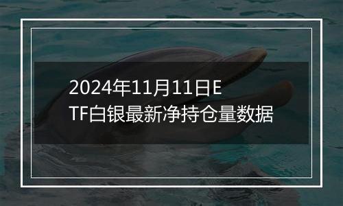 2024年11月11日ETF白银最新净持仓量数据