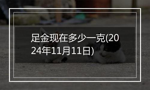 足金现在多少一克(2024年11月11日)