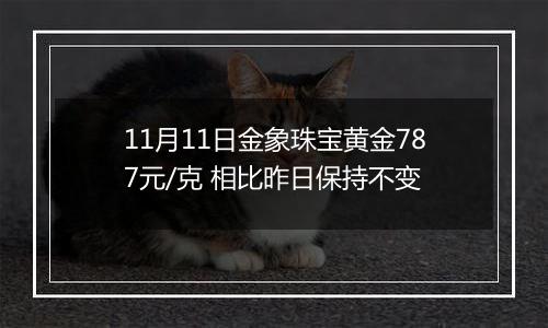 11月11日金象珠宝黄金787元/克 相比昨日保持不变
