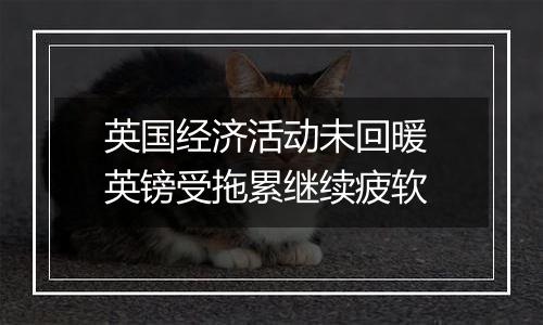 英国经济活动未回暖 英镑受拖累继续疲软