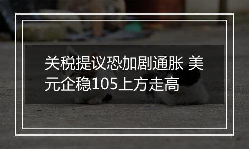 关税提议恐加剧通胀 美元企稳105上方走高