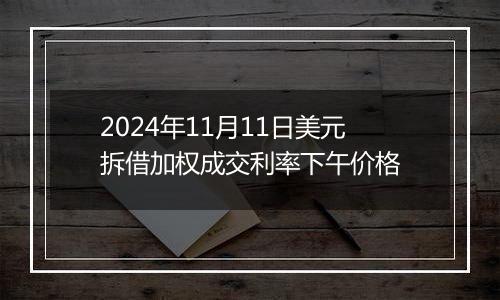 2024年11月11日美元拆借加权成交利率下午价格