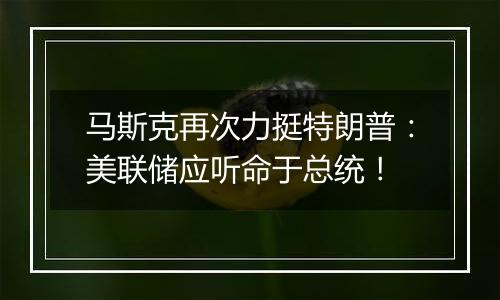 马斯克再次力挺特朗普:美联储应听命于总统!