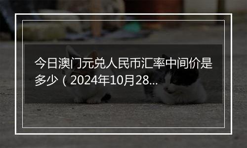 今日澳门元兑人民币汇率中间价是多少(2024年10月28日)