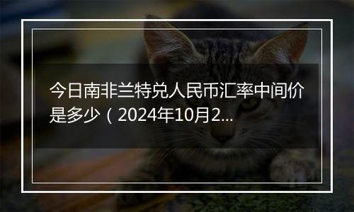 今日南非兰特兑人民币汇率中间价是多少(2024年10月28日)