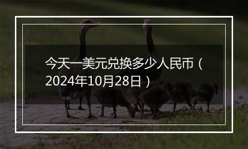 今天一美元兑换多少人民币(2024年10月28日)