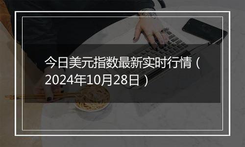 今日美元指数最新实时行情（2024年10月28日）
