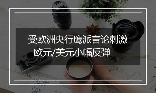 受欧洲央行鹰派言论刺激 欧元/美元小幅反弹