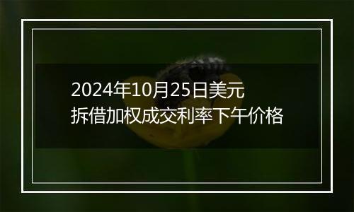 2024年10月25日美元拆借加权成交利率下午价格