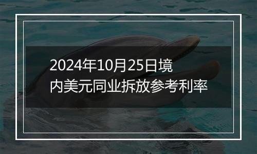 2024年10月25日境内美元同业拆放参考利率