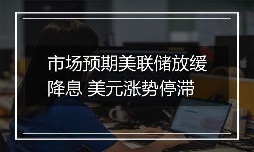 市场预期美联储放缓降息 美元涨势停滞
