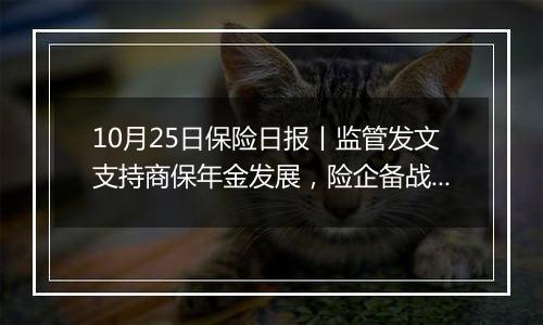 10月25日保险日报丨监管发文支持商保年金发展,险企备战来年越来越早,“保底+浮动”分红险仍待催化升温