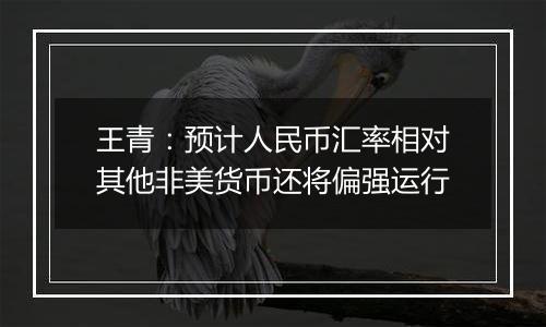 王青:预计人民币汇率相对其他非美货币还将偏强运行