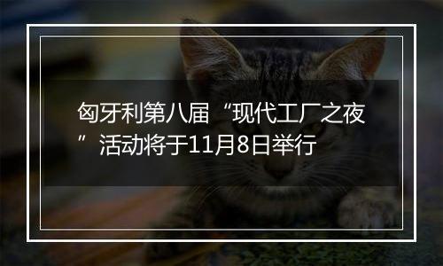 匈牙利第八届“现代工厂之夜”活动将于11月8日举行