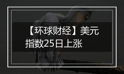 【环球财经】美元指数25日上涨