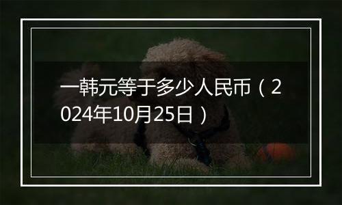 一韩元等于多少人民币(2024年10月25日)