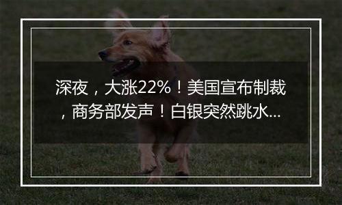 深夜,大涨22%!美国宣布制裁,商务部发声!白银突然跳水,释放什么信号