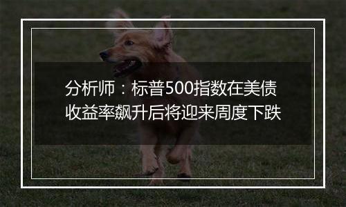 分析师:标普500指数在美债收益率飙升后将迎来周度下跌