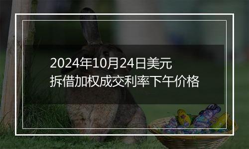 2024年10月24日美元拆借加权成交利率下午价格
