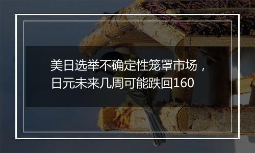 美日选举不确定性笼罩市场,日元未来几周可能跌回160