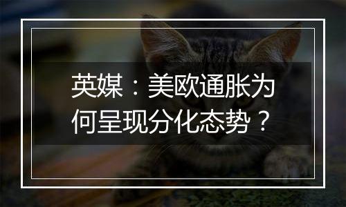 英媒:美欧通胀为何呈现分化态势?