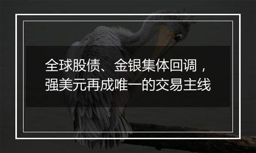 全球股债、金银集体回调,强美元再成唯一的交易主线