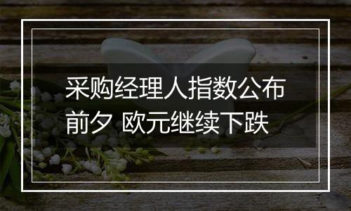 采购经理人指数公布前夕 欧元继续下跌