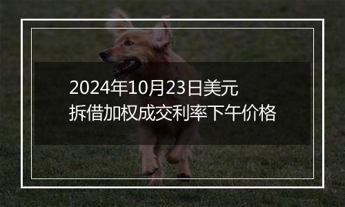 2024年10月23日美元拆借加权成交利率下午价格