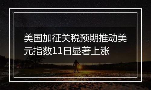 美国加征关税预期推动美元指数11日显著上涨