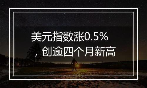 美元指数涨0.5%,创逾四个月新高